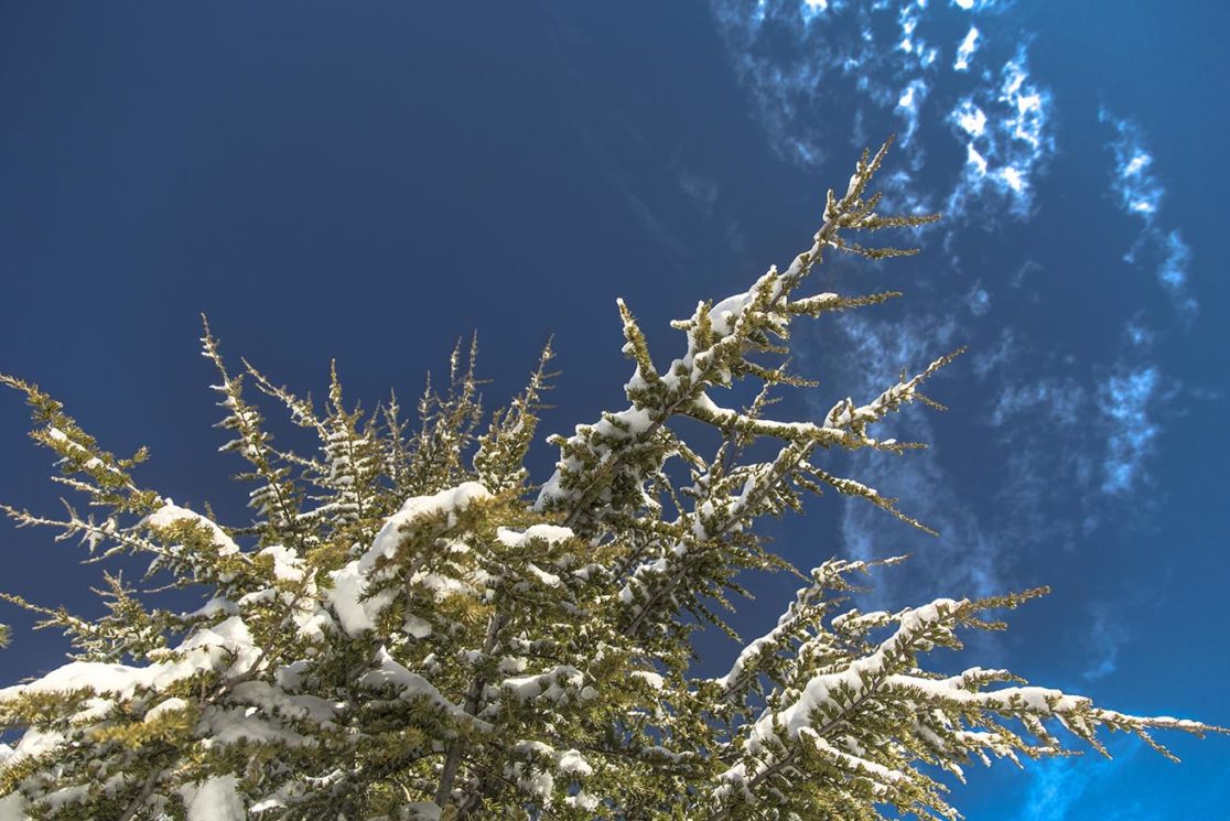 So gently, nature let me cover you till Summer comes again